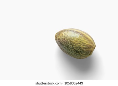 Hemp seed on a white background in macro