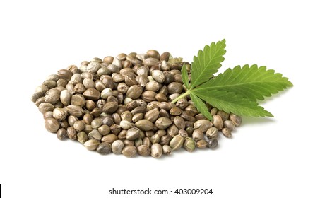 Hemp Seeds With A Green Leaf On A White Background