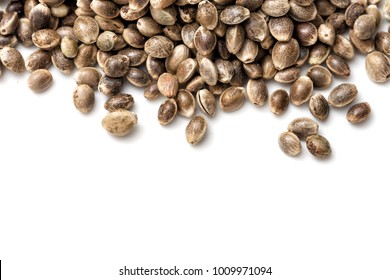 Hemp seeds on white background