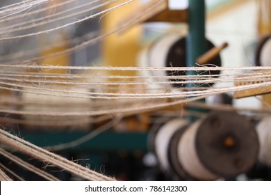 Henequen Threads In Yucatan