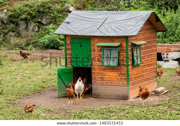 henhouse as a small house or smart henhouse or
chicken coop or henhut