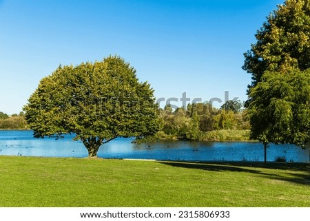 Henley Lake Park in Masterton, Wellington, New Zealand