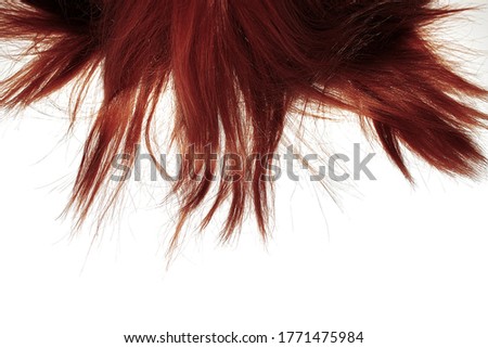 Similar – Image, Stock Photo bang your head Short Pink