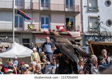 Hennebont, Brittany France - July 28 2018 : Fete Medieval, Falconry Demonstration