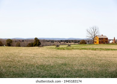 Henry Hill Near Manassas Virginia House In Battlefield