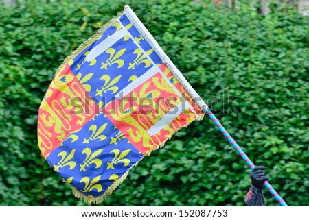 Heraldic Flag Waving
