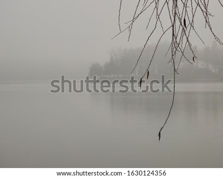 Similar – m_2 Autumn Gray Fog