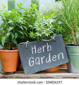 Herb Garden