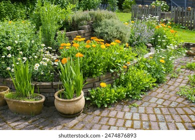 herb spiral in the garden with fresh herbs and flowers - Powered by Shutterstock