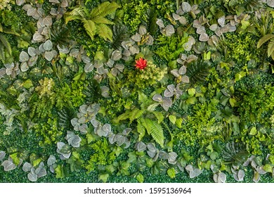 Herb Wall, Plant Wall, Natural Green Wallpaper And Background. Nature Wall.