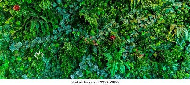 Herb wall, plant wall, natural green wallpaper and background. nature wall.  Nature background of green forest - Shutterstock ID 2250572865