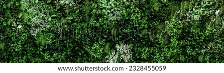 Herb wall, plant wall, natural green wallpaper and background. nature wall. Nature background of green forest. Photo ratio 32:9 Resolutions