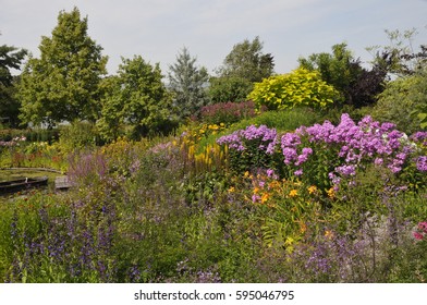 Herbaceous Border With Perennials