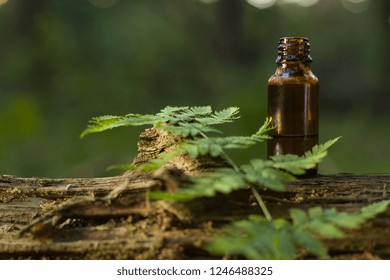 Herbal, alternative medicine - Space for text.  Natural medicine, a small bottle in greenery, forest
 - Powered by Shutterstock