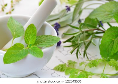 Herbal Apothecary