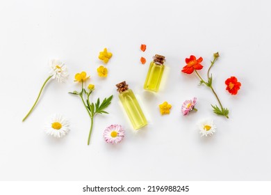 Herbal Apothecary With Wild Flowers And Essential Oil