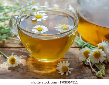 Herbal chamomile tea and chamomile flowers near teapot and tea glass. Rural or countryside background.