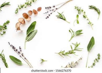 Herbal formulations for health care on white background top view pattern frame copy space - Shutterstock ID 1566276370