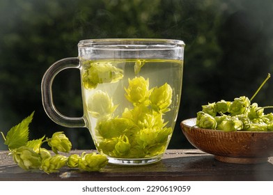 Herbal medicinal tea drink made of Humulus lupulus, the common hop or hops. Hops flowers with tea cup on white wood background, indoors home. - Shutterstock ID 2290619059