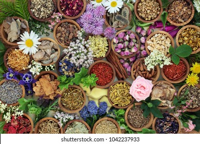 Herbal medicine with herbs and flowers used in chinese and natural alternative remedies with fresh herbs and flowers forming an abstract background. Top view.