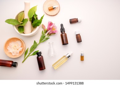 herbal medicine with  organic natural herb  in the laboratory with oil capsule.food nutrition healthy and wellness. - Shutterstock ID 1499131388