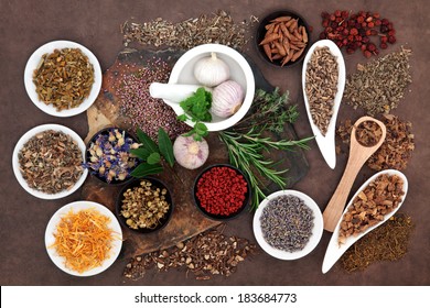 Herbal medicine selection also used in pagan witches magical potions.