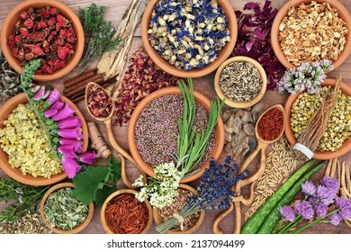 Herbal plant medicine  preparation with herbs and flowers for natural organic healing medication. Alternative plant based flower remedy health care concept. Top view on rustic wood background. 