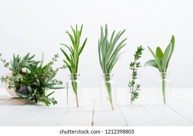 herbal plants in mini bottles and bunch on scoop, white wood table background - Shutterstock ID 1212398803