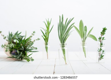 herbal plants in mini bottles and bunch on scoop, white wood table background - Shutterstock ID 1283486557