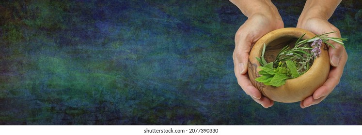 Herbal Practitioner Message Background Web Banner - Herbalist holding wooden bowl containing selection of common culinary herbs including mint, rosemary, thyme and sage against rustic grunge dark blue