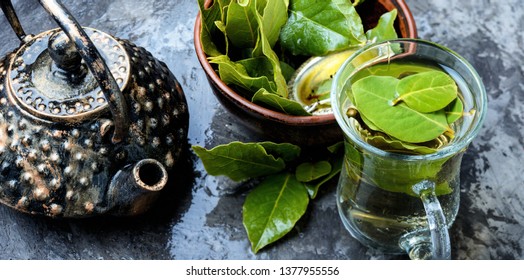 Brew Bay Leaf Images Stock Photos Vectors Shutterstock