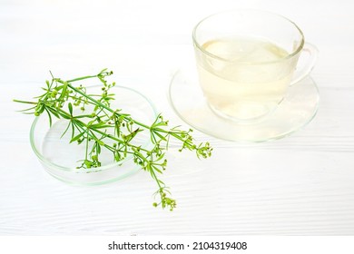 Herbal tea from dungeon, Galium aparine cleavers. Urinary drink next to fresh grass clivers, goosegrass and grip bedstraw on white wooden table. Soft focus