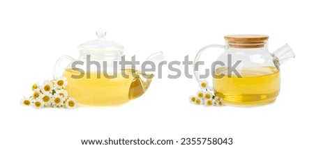 Herbal tea with fresh chamomile flowers isolated on white background. Calming and relaxing drink. Immunity. teapot of hot chamomile tea. Tea drinking concept. Tea ceremony.