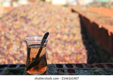 Herbal Tea. Olive Harvest. Making Olive Oil. 