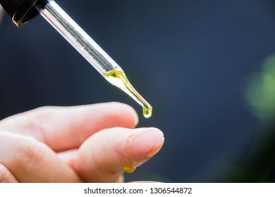 Herbal Volatile Oil The Doctor Chose To Extract The Volatile Oil For Health. The Essential Oil That Drops From The Pipette To The Bottle