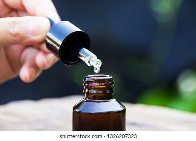 Herbal Volatile Oil The Doctor Chose To Extract The Volatile Oil For Health. The Essential Oil That Drops From The Pipette To The Bottle