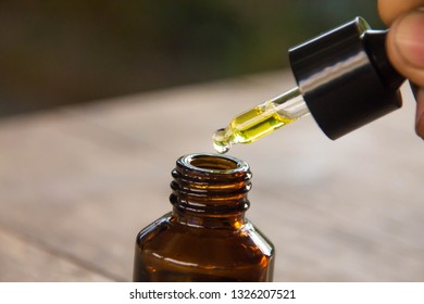 Herbal Volatile Oil The Doctor Chose To Extract The Volatile Oil For Health. The Essential Oil That Drops From The Pipette To The Bottle