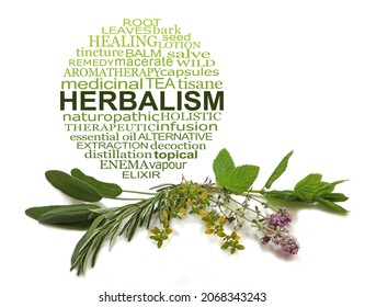 Herbalism Word Cloud and Common Culinary Herbs - a circular tag cloud relevant to HERBALISM above a selection of herbs including mint, rosemary, thyme and sage isolated on white  background
 - Shutterstock ID 2068343243