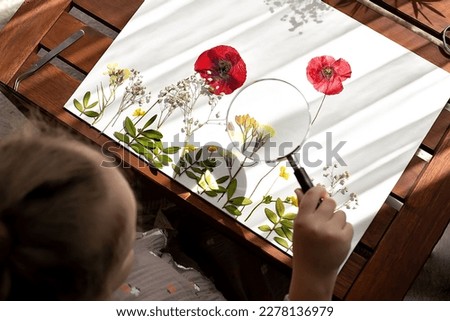 Herbarium and little girl. look herbarium of dry flowers at wooden table. Herbarium and little girl. High quality photo