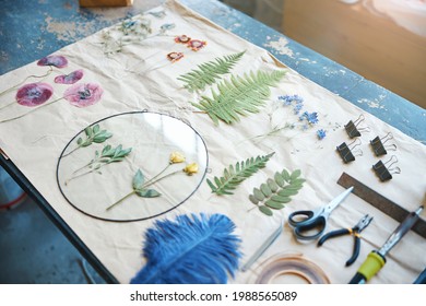 2,923 Herbarium sheet Images, Stock Photos & Vectors | Shutterstock