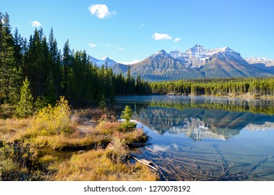 Herbert Lake Lake in the autumn morning, Banff National Park, Canadian Rockies, Alberta, Canada