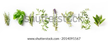 Herbes de Provence, French aromatic herbs panorama, overhead flat lay shot on a white background