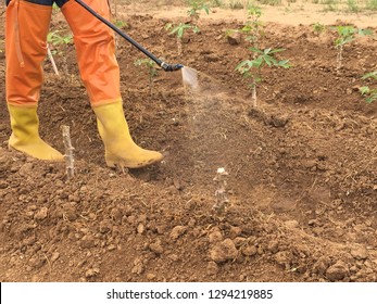 Herbicide Application With Fan Nozzle