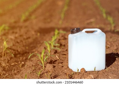 Herbicide Plastic Canister Can In Corn Field, Crop Protection Concept