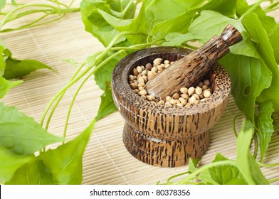 herbs