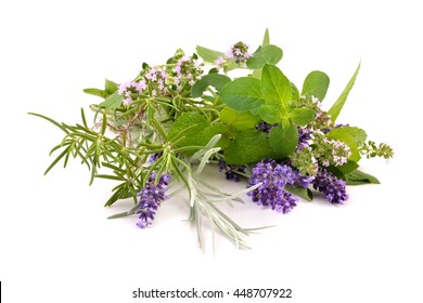 Kräuter aus dem Garten auf weißem Hintergrund. Gewürzmischungen, Thyme, Rosmarin, Lavendel und Oregano.