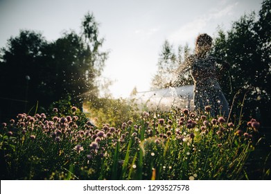 Herbs And Onion In The Seedbed Watered With Garden Hose To Water Plants In The Evening Summer Sun