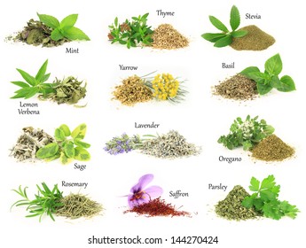 Herbs and spice collection, fresh, dry and aromatic - Powered by Shutterstock