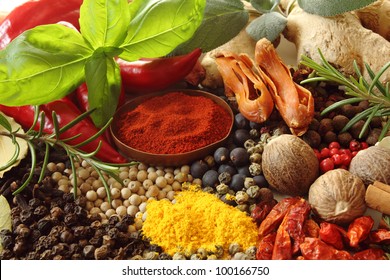 Herbs and spices selection. Aromatic ingredients and natural food additives.