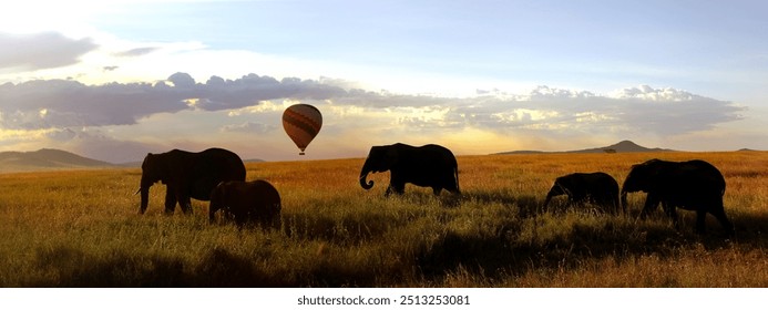 Herd of African elephants in the savannah and balloon. Africa. Tanzania.